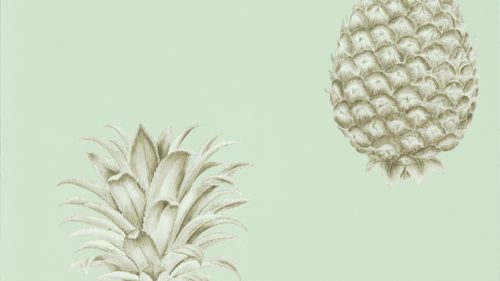 Pineapple Royale 216325